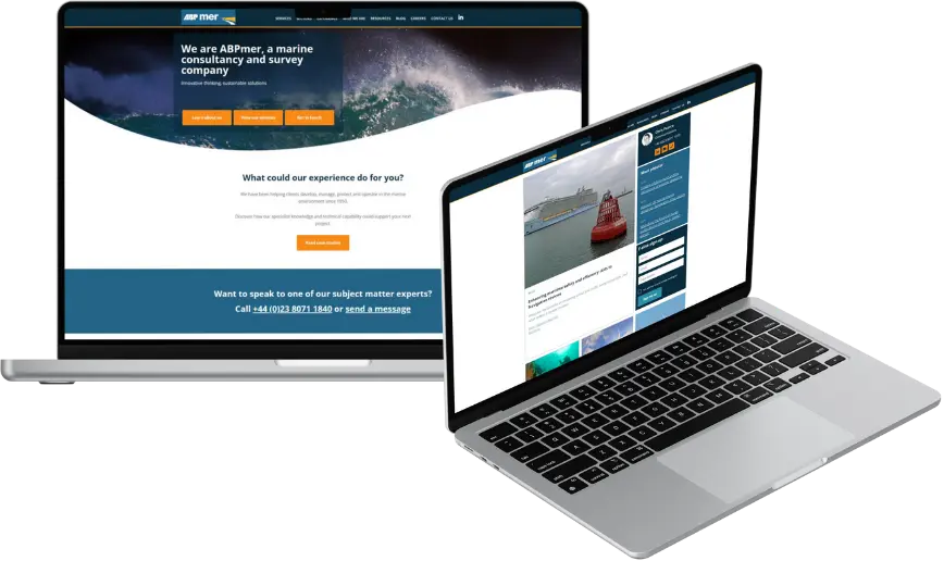 CMS Business Portal showcase image